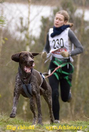 Maasmechelen 05 - 215.jpg